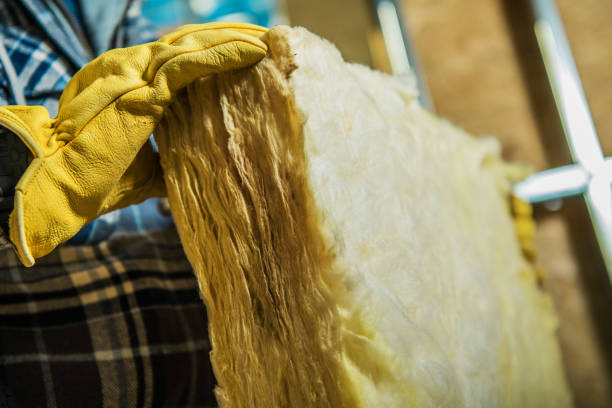Best Insulation Maintenance and Repair in Sebring, FL